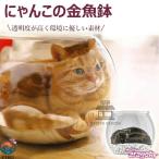 ni.. это круглый аквариум кошка прозрачный домашнее животное house кошка house для помещений круглый аквариум . кошка для круглый аквариум прозрачный акрил производства кошка защитный корпус ... час . удобно 