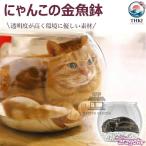 ni.. это круглый аквариум кошка прозрачный домашнее животное house кошка house для помещений круглый аквариум . кошка для прозрачный акрил производства . починка простой легкий в использовании удобный рекомендация домашнее животное . удобный популярный 