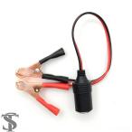 【並行輸入品】 2023年 12V 車用バッ