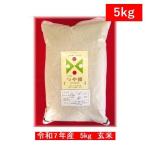 【玄米】5kg つや姫100�