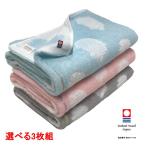 今治タオル バスタオル かわいい ハリネズミ柄 3枚セット 60x120cm 送料無料 日本製 保育園 幼稚園 入園 プレゼント ギフト 子供 アニマル