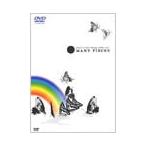 Every Little Thing every little thing : 2003 tour MANY PIECES DVD