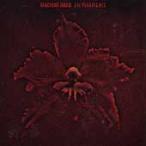 Machine Head The Burning Red CD