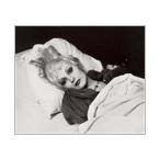 Antony &amp; The Johnsons The Lake (EP) CD