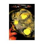 悪魔達の大陸 lost or death DVD