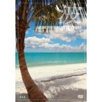 波〜Medicine For Your Heart〜 Caribbean Beaches カリビアン・ビーチ DVD