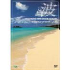 波〜Medicine For Your Heart〜 Caribbbean Daydreams カリビアン・デイドリームズ DVD