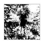 Esplendor Geometrico... металлический .< совершенно производство ограничение запись > CD