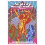 ショッピングSuperfly Superfly Dancing at Budokan!!＜通常盤＞ DVD
