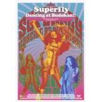 Superfly Dancing at Budokan!!＜通常盤＞ DVD