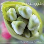 Fiona Apple エクストラオーディナリー・マシーン CD