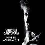 Vinicius Cantuaria ア