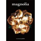  Magno задний DVD