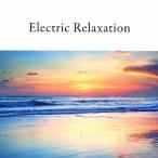 Various Artists Electric Relaxation CD