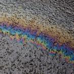 Laurel Halo イン・サイチュ CD