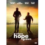 shi вместе лампа . место DVD