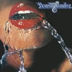 Breakwater Bray заднее крыло < период производство ограничение запись > CD