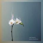 world's end girlfriend LAST WALTZ CD