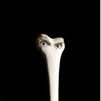 Juana Molina Halo CD