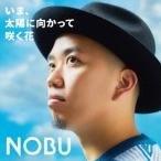 NOBU いま、太陽に向かって咲く花 12cmCD Single