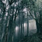 Akira Kosemura In The Dark Woods LP