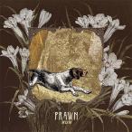 Prawn Run CD