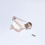 ゲスの極み乙女。 戦ってしまうよ ［CD+DVD］＜初回限定盤＞ 12cmCD Single ※特典あり