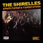 The Shirelles spo n Tey nias* темно синий bashonCD