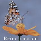 NEVERLAND (ヴィジュアル) Reincarnation＜通常盤A＞ 12cmCD Single