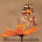 NEVERLAND (ヴィジュアル) Reincarnation＜通常盤B＞ 12cmCD Single