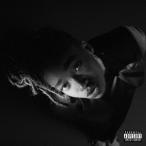 Little Simz GREY Area CD