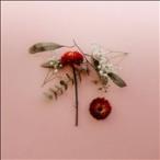 Sunsleeper You Can Miss Something &amp; Not Want It Back CD