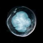 A Winged Victory For The Sullen The Undivided Five CD