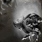  лес река . один .PREDICTING THINGS AND INTUITION< первый раз ограничение запись > CD