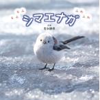 吉永勝啓 もふもふふわふわシマエナガ Book