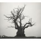 Sekai No Owari 音楽 無料動画gyao