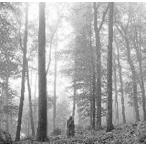 Taylor Swift folklore (1. The 