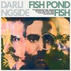 Darlingside Fish Pond Fish CD