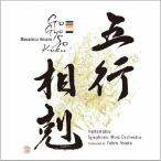  Hamamatsu реверберация духовая музыка . небо . правильный дорога :. line ..CD