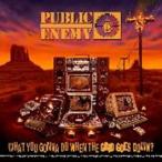 Public Enemy What You Gonna Do When The Grid Goes Down? CD