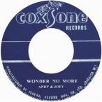 Andy &amp; Joey WONDER NO MORE/HEAVEN &amp; EARTH 7inch Single