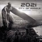 Michael Dion 2021 City of Angeles CD