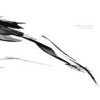 KASHIWA Daisuke program music III CD