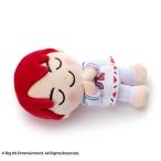 BTS Tiny TAN すやすやフレンド ぬいぐるみ S /JUNGKOOK Accessories