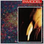 P-MODEL ANOTHER GAME
