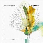 Tooker Nang'o 12inch Single