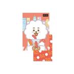 BT21 クリアファイル RJ Accessories