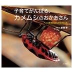 新開孝 子育てがんばる、カメムシのおかあさん ベニツチカメムシとボロボロノキ Book