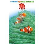 井田齊 小学館の図鑑 NEO POCKET -ネオぽけっと- 魚 Book