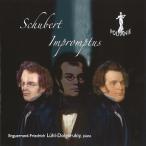 アンゲラン=フリードリヒ・リュール=ドルゴルキー シューベルト: 4つの即興曲 D.899、D.935、リュール=ドルゴルキー:  CD